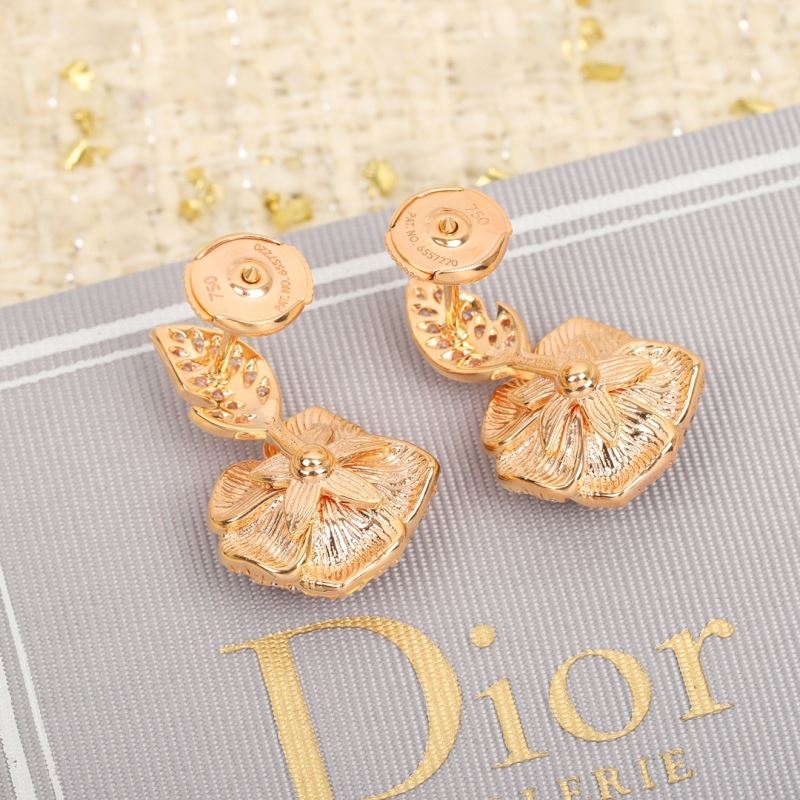 Christian Dior Earrings